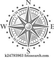 vektor, kompassrose vektor, kompassrose