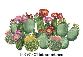 cactus set cactus set