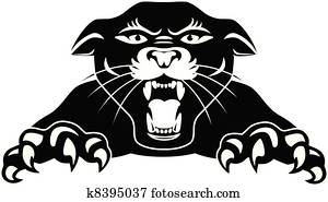 schwarzer panther schwarzer panther