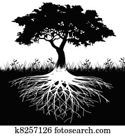Tree roots silhouette Tree roots silhouette