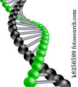 וקטור, די.אנ.אי