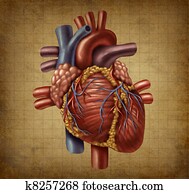 人間の 中心, 古い, グランジ, 医学の書類