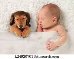 Newborn baby and puppy Newborn baby and puppy