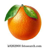 Orange fresh fruit with two leaves, on white background.