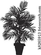 Palm tree Palm tree