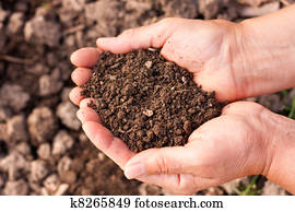Soil in hands