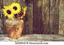 Sunflower still life. Sunflower still life.