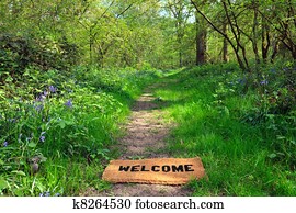 Welcome to the spring woodland horizontal