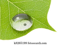 Yin yang symbol on water drop Yin yang symbol on water drop