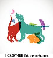 וקטור, קבץ, של, חיות בית, -, dog,, cat,, parrot,, chameleon,, rabbit,, butterfly,, האמינגבירד, הפרד, בלבן, רקע