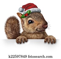 חופשה, סנאי