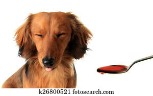 תחש, גור, ו, medicine.