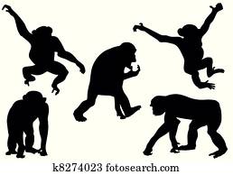 macaco, silhuetas, cobrança