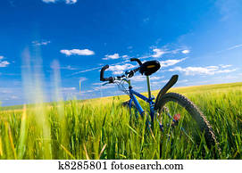 bicicleta, ligado, a, campo