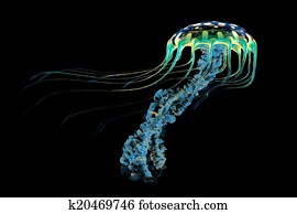 Blue Jellyfish Blue Jellyfish