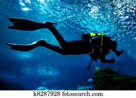 Diving in the ocean underwater Diving in the ocean underwater