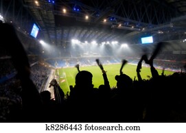 Fans celebrating goal Fans celebrating goal