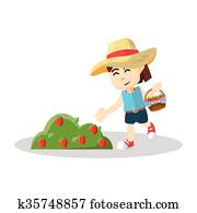 Girl harvesting strawberry Girl harvesting strawberry