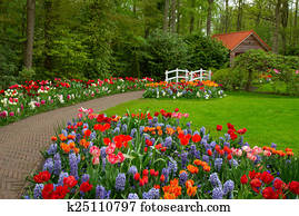 Garten Schuppen Stock Bilder | 1000+ Garten Schuppen Fotos | Fotosearch
