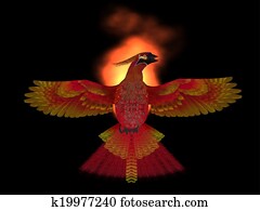 Phoenix Bird Fire Phoenix Bird Fire