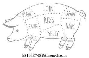 Pork meat cuts Pork meat cuts