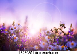 Spring flowers field Spring flowers field