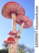 面白い きのこ イラスト K Fotosearch