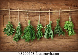 Fresh herbs Fresh herbs