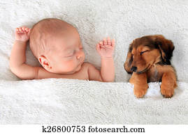 sova, baby, och, valp