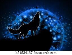 wolf wolf