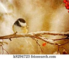 בציר, כרטיס של חג ההמולד, רקע.