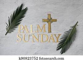 דקל, יום ראשון, רקע., עובר, ו, דקל, ב, אפור, רקע.