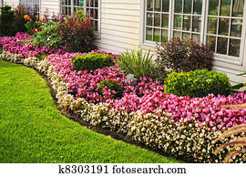 coloridos, jardim flor