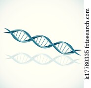 DNA DNA