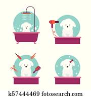 Dog in Grooming Shop or Salon Dog in Grooming Shop or Salon