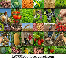 farming collage farming collage