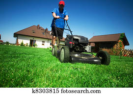 לכסח את המדשאה