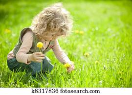 Beautiful child picks flowers Beautiful child picks flowers
