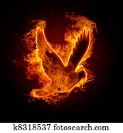 Burning Bird Burning Bird
