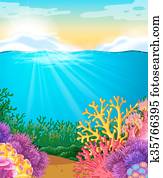 Coral reef under the sea Coral reef under the sea