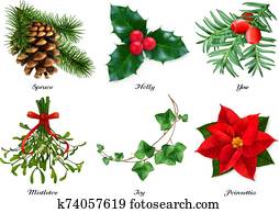 plants,, weihnachten, decorations., spruce,, holly,, yew,, mistletoe,, ivy,, poinsettia., 3d, realistisch, vektor, satz plants,, weihnachten, decorations., spruce,, holly,, yew,, mistletoe,, ivy,, poinsettia., 3d, realistisch, vektor, satz