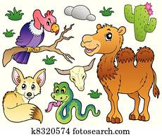 Desert animals collection 1 Desert animals collection 1