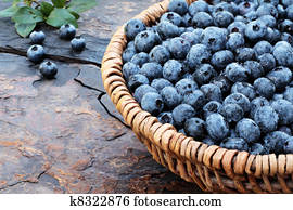 Fresh Blueberries