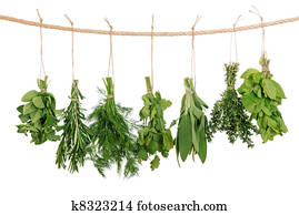 Fresh herbs Fresh herbs