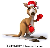 Fun kangaroo Fun kangaroo