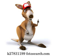 Fun kangaroo Fun kangaroo