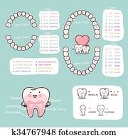 menschlich, zahn, karikatur, koerperbau, tabelle