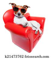 dog sofa dog sofa