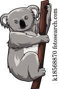 Koala Koala