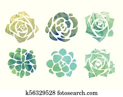 Set of watercolor succulents with a top view on a white background Set of watercolor succulents with a top view on a white background